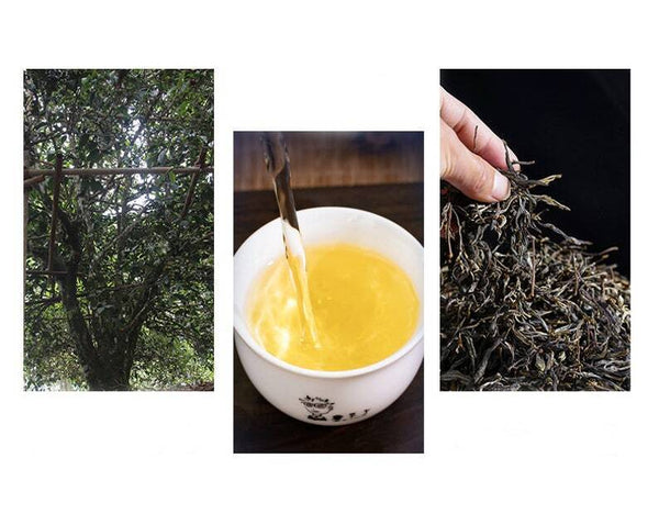Yunnan Pu'er Tea Banzhang Golden Leaf 200g Mixed Raw Tea Qizi Cake Tea 200g