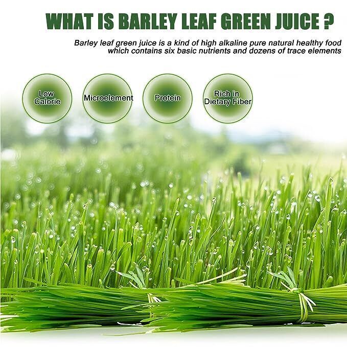 Pure Young Barley Grass powder | Detox Diet Weight loss | supergreen superfood Secondary image