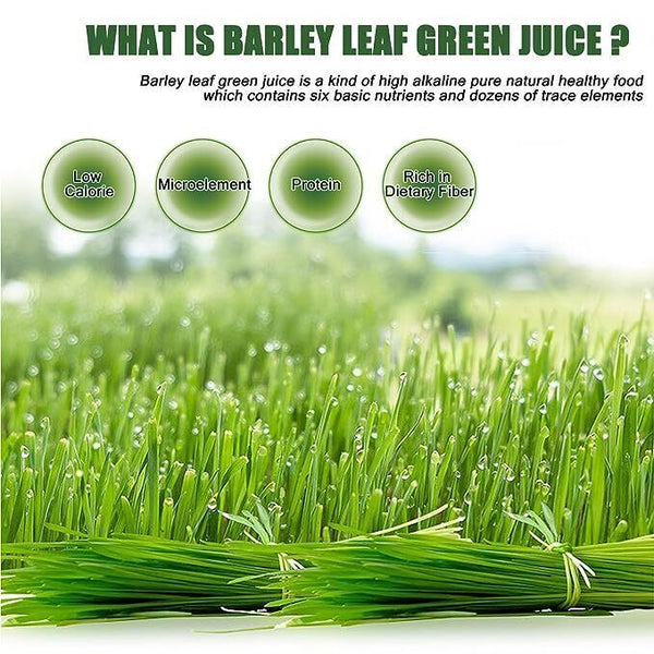 Pure Young Barley Grass powder | Detox Diet Weight loss | supergreen superfood