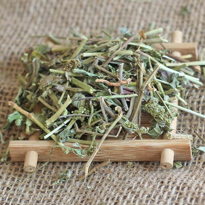 Dried Euphorbiae Hirtae Herba, Garden Euphorbia, Euphorbia hirta L. Fei Yang Cao Main image