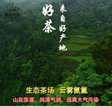 Guizhou Alpine Tea Bird's Tongue Mao Jian Tea Pieces Bulk Alpine Yunwu Tea Piece