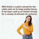 Milk Thistle Seed Powder 1.1lb Silybum Marianum