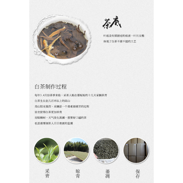 High Quality Chen Pi Old White Tea Fuding White Tea Healthy Drink 150g