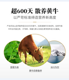 300g Convenient Meal Braised Beef Canned Ready-to-Eat Pure Beef Meat