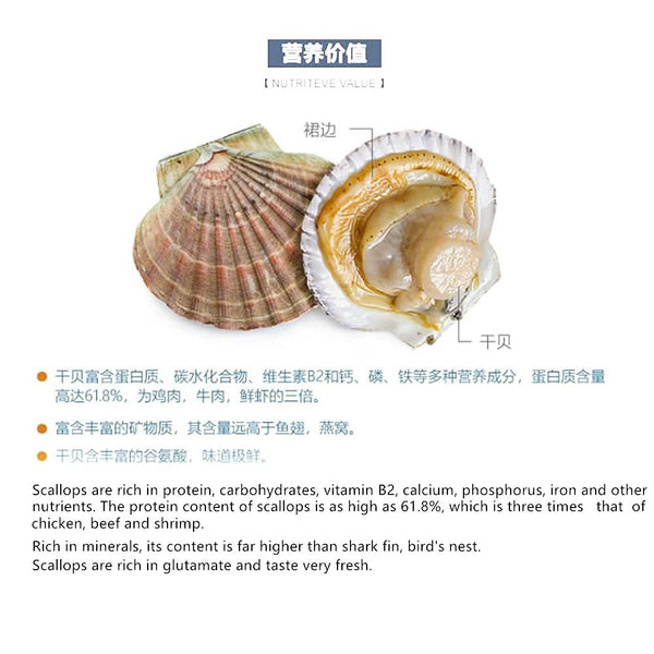 Dried scallops light dried scallops wild premium scallops no additives