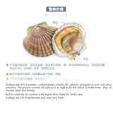 Dried scallops light dried scallops wild premium scallops no additives
