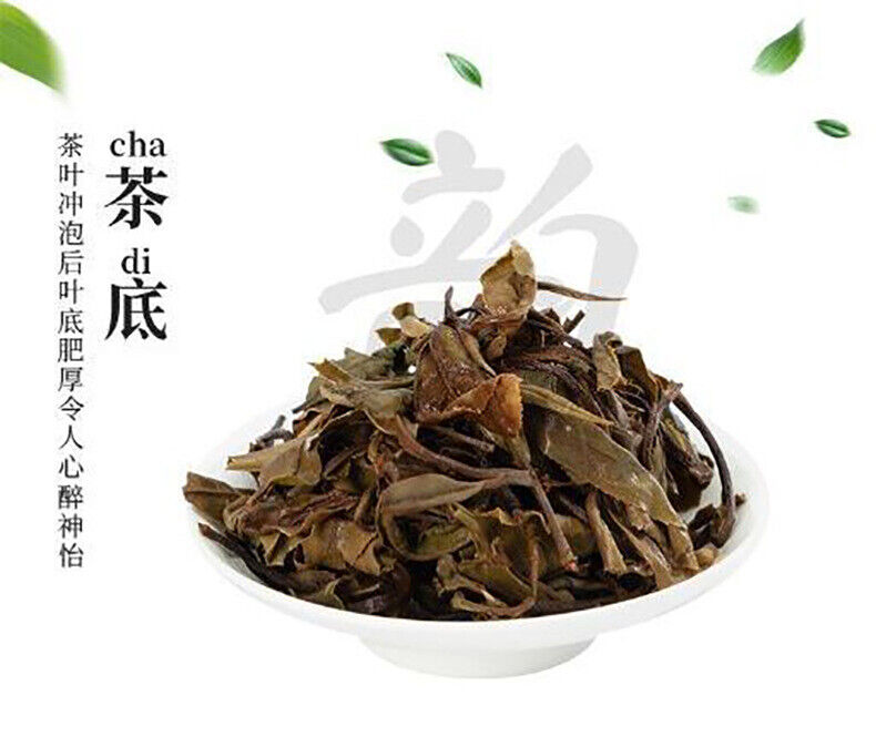 Alpine white tea Fuding white tea gongmei 5g a bubble old white tea cake 500g