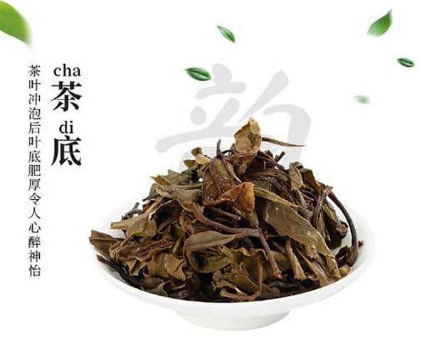 Alpine white tea Fuding white tea gongmei 5g a bubble old white tea cake 500g