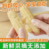 Yunnan Xishuangbanna Dried Corn Snacks – Sweet & Glutinous, Vacuum Packed Fresh