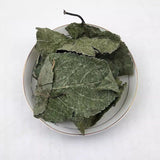 Organic Dried Folium Eucommia Eucommia Ulmoides Oliv Eucommia leaf Du Zhong Ye