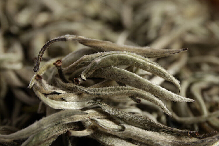 500g Puerh Tea Raw Tea White Hair Silver Needle Single Bud White Tea Loose Tea