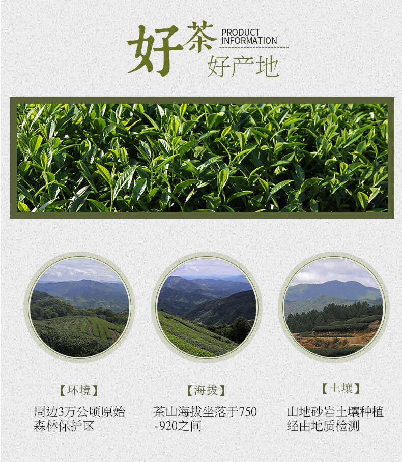 Strong Aroma Charcoal Roasted Shui Xian Black Oolong Loose Leaf Wuyi Rock Tea