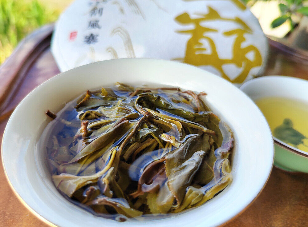 Scraping Walled Pu'er Tea Cake Yiwu Ancient Tree Raw Tea First Spring Yunnan Tea