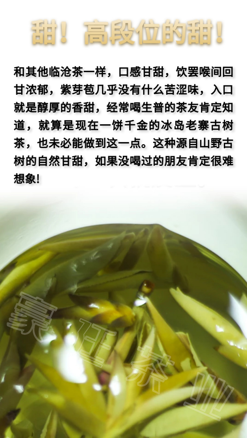 Thé Pu'er bourgeon violet début du printemps nouveau thé thé au nectar Mingqian