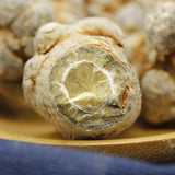 500g Black Radix Pseudoginseng 黑田七頭, good quality and price