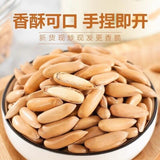 2024 Harvest Premium Pine Nuts Jumbo Size Healthy Natural Handpicked Snack