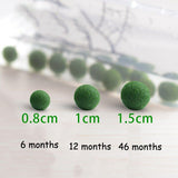 1Pc Micro Landscape Aquarium Aquatic Terrarium Decoration New Ornament DIY Model