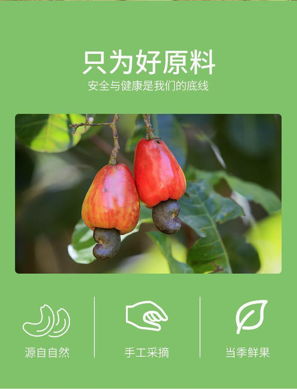 Extra Large Cashew Nuts Original Purple Skin Salt Baked Nuts SnacksHigh quality