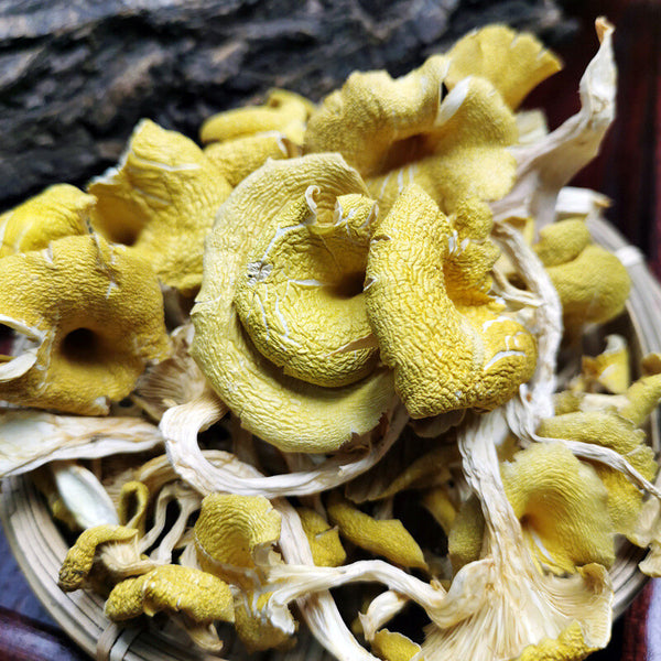 Chicken Oil Mushroom Direct Supply Yunnan Specialty Yellow Silk Mushroom Soup