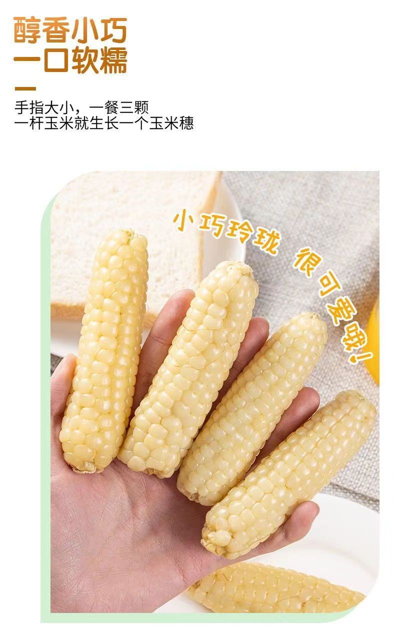 Yunnan Xishuangbanna Dried Corn Snacks – Sweet & Glutinous, Vacuum Packed Fresh