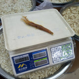 Low Sugar Red Ginseng Whole Root Changbai Mountain Ginseng 250g 10 pcs Specialty