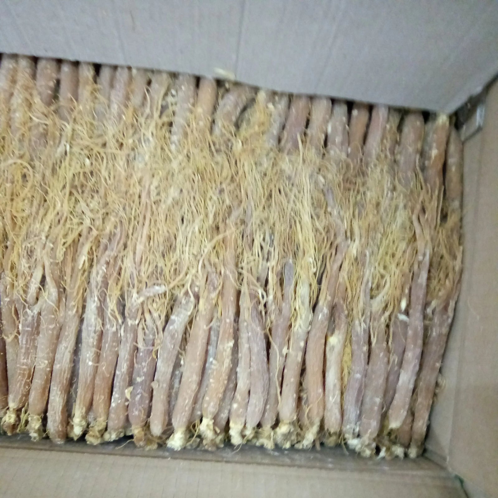 Low Sugar Red Ginseng Whole Root Changbai Mountain Ginseng 250g 10 pcs Specialty Main image