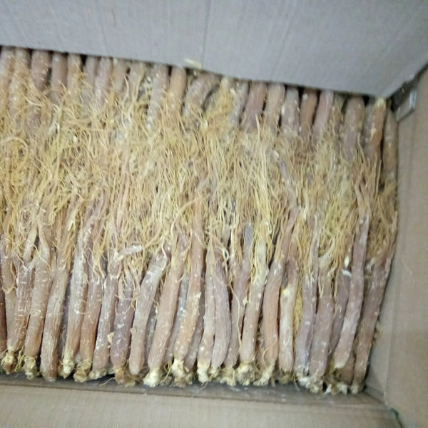Low Sugar Red Ginseng Whole Root Changbai Mountain Ginseng 250g 10 pcs Specialty