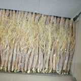 Low Sugar Red Ginseng Whole Root Changbai Mountain Ginseng 250g 10 pcs Specialty