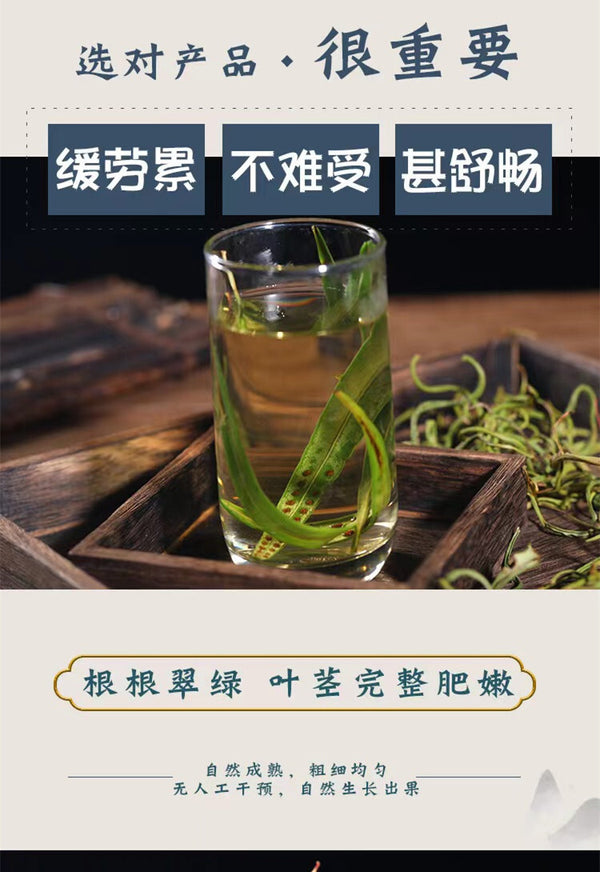 Orthosiphon Aristatus Golden Grass Tea 50g Canned - Kidney Health Herbal Tea