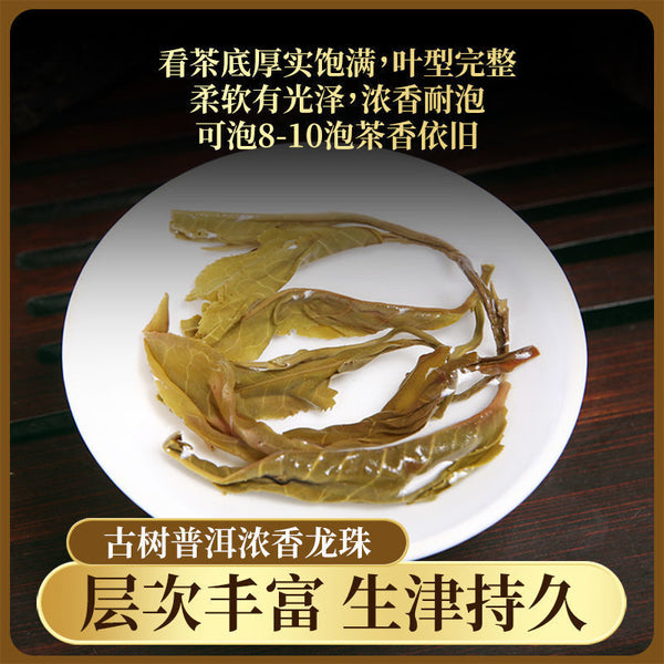 First Spring Xigui Ancient Tree Longzhu Raw Puerh Tea