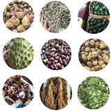 Ginkgo Biloba Extract Water Soluble Rich in Flavonoids Memory & Focus Support