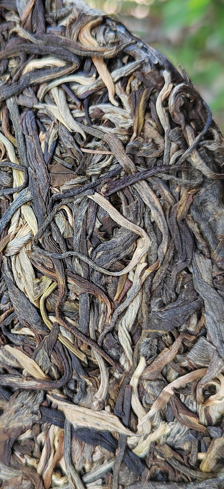 357g Ming Qian Ancient Tree Spring Tea Pu'er Raw Tea Seven Seed Cake Tea