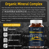 100% Vegan Organic Shilajit Gummies Cognitive Energy Support 60 Count