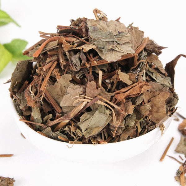 Fishweed Tea Large stock Folded Ear Root Fishweed Dried Chinese Herbs 500g/1.1lb