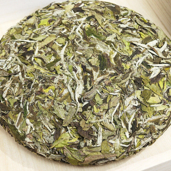 2025 Fuding Bai Mu Dan White Tea Cake Floral Aroma Spring Buds Loose Leaf