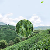 2023 Taiwan Oolong Tea Flower Fragrance Oolong Loose Leaf Tea Gift Packing 150g