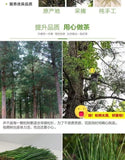 Premium Changbai Mountain Pine Needle Tea 250g High Altitude Fresh Dried Herbal