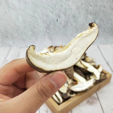 Premium Dried Shiitake Mushroom Slices 500g Natural Edible