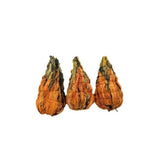 Fengqing Dianhong Baihe Baota Black Tea 100g Handmade Honey Aroma Loose