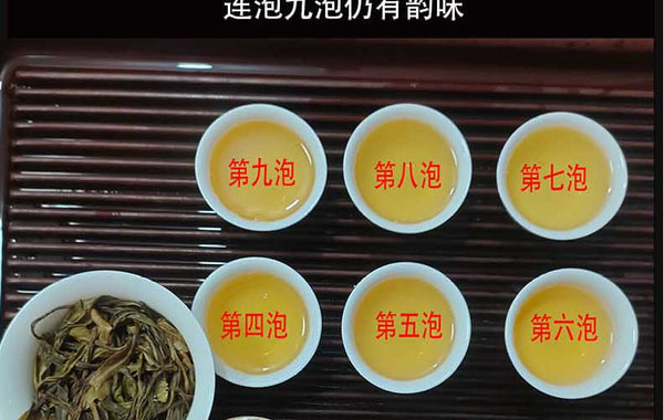 Yunnan Tea Nannoushan Head Spring Ancient Tree Pu'er Raw Tea 357g Cake Tea