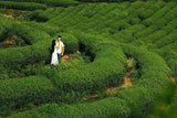 AAAAA Anxi Tie Guan Yin Grüner Tee 50g Tieguanyn Tee Oolong Tee Grüner Tee