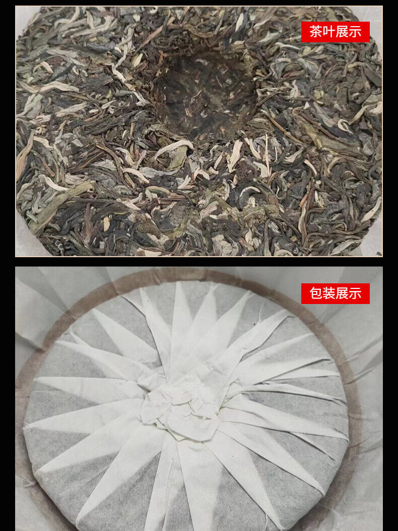 Yunnan Pu'er Tea Pagong Gushu First Spring Pu'er Raw Tea 357g Cake Tea