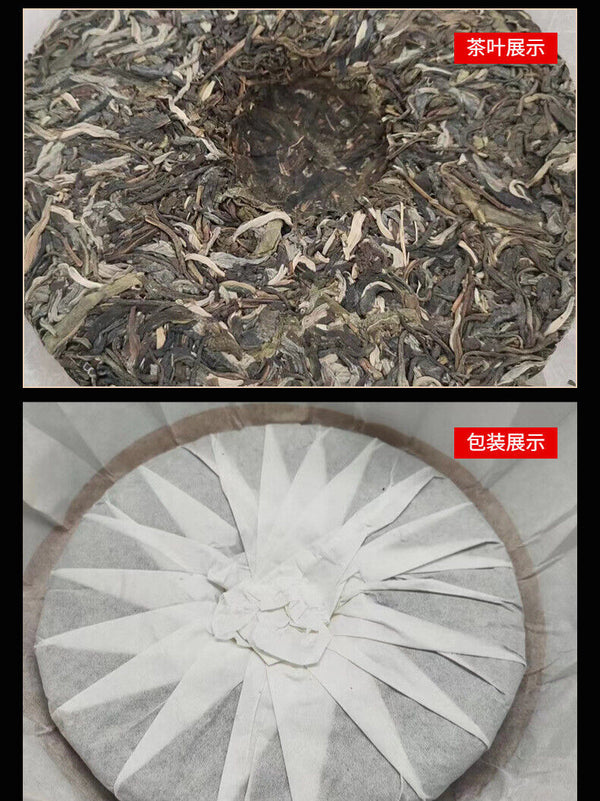 Yunnan Pu'er Tea Pagong Gushu First Spring Pu'er Raw Tea 357g Cake Tea