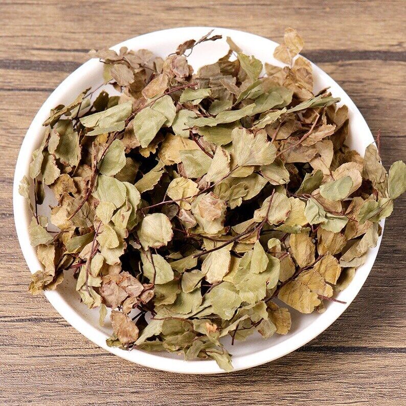 Dried Herbal Asplenii Yunnanensis Yunnan Spleenwort Herb Makes A Healthy Tea Main image