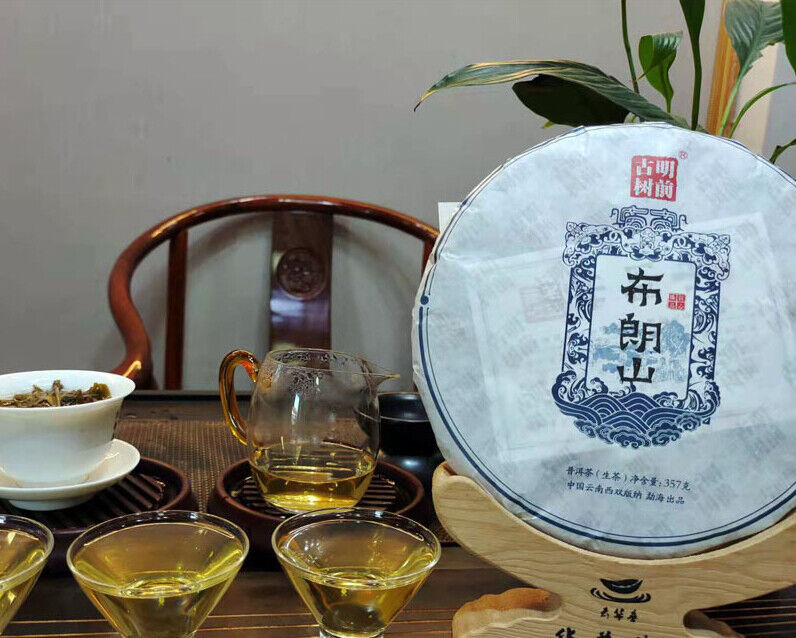 Puerh Tea Brown Mountain Wuzhai First Spring Puerh Raw Tea Cake 357g/12.59oz Main image