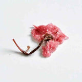 50g Japanese Traditional Salted Sakura Cha Cherry Blossoms Preserved Flower Tea
