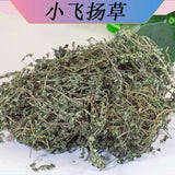 Dried Thyme-leaved spurge Redcausticreeper Euphorbiathymifolia Xiao Fei Yang Cao