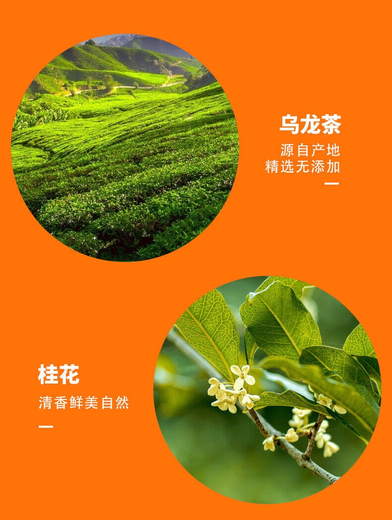 Osmanthus Oolong Tea Transparent Bag 50 Packs Triangle Bag Spiced Tea 150G