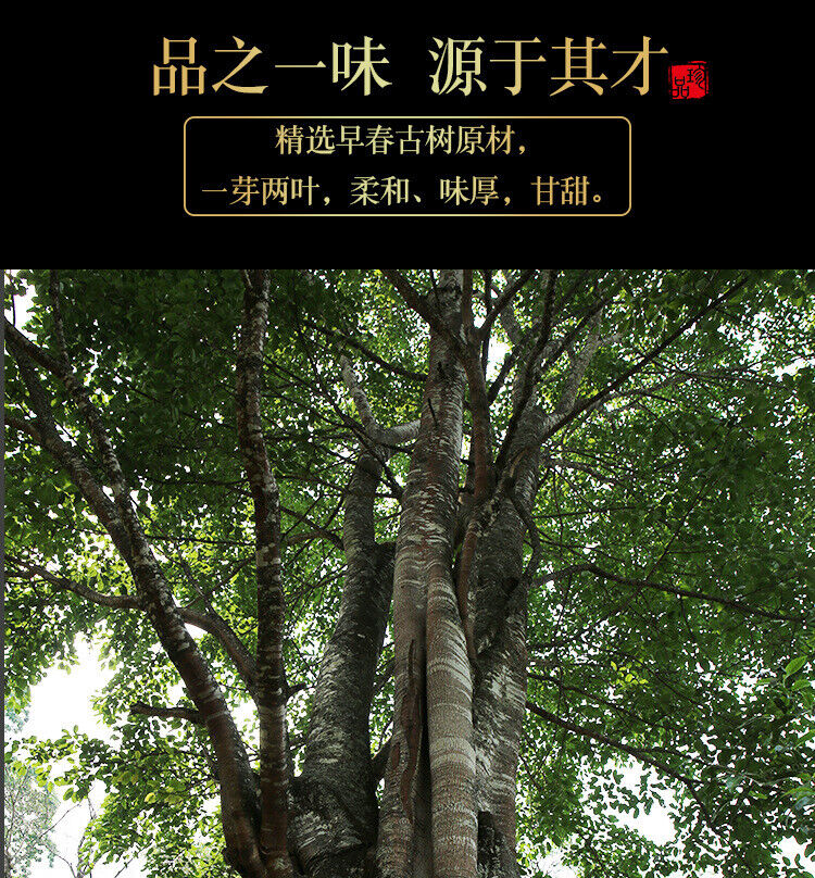 300g Yunnan Pu'er Tea Iceland Gold Bar Old Tree Raw Tea Tea Leaf Raw Pu