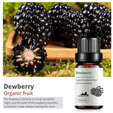 100% Pure Therapeutic Oil - 20+ Options! Aromatherapy Oil 10 mL Essential Oils
